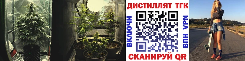 продажа наркотиков  Пойковский  Дистиллят ТГК Wax 
