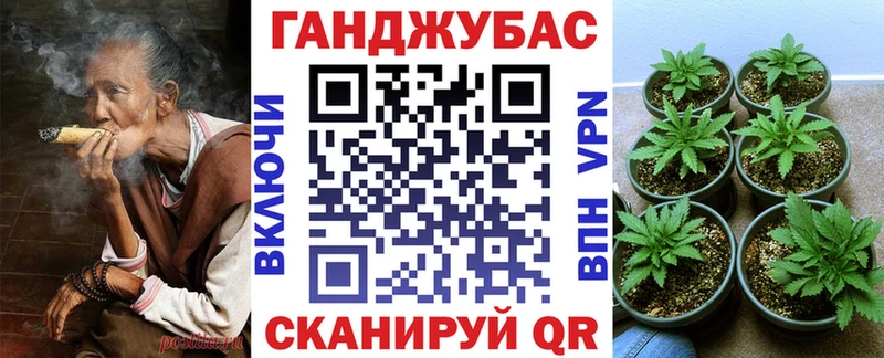 Канабис сатива  наркотики  Пойковский 